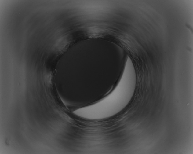 X0000093140219200710171336