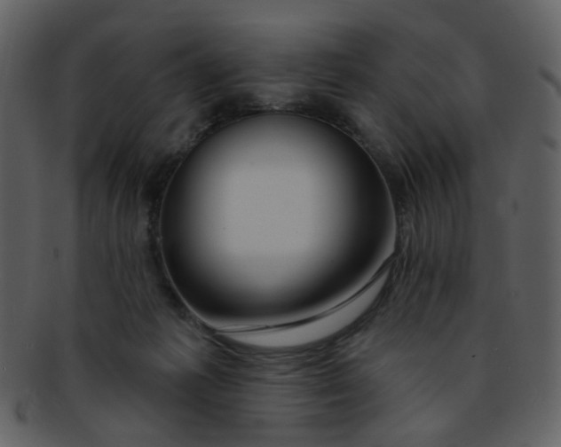 X0000093140221200710171336