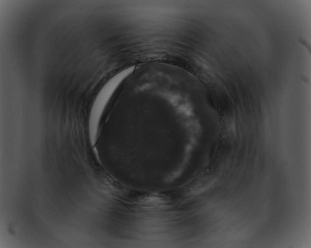 X0000093140224200710171336