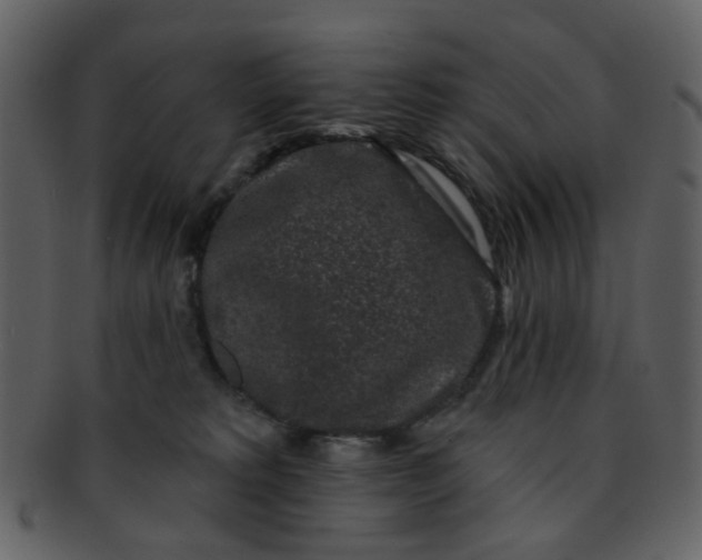 X0000093140229200710171336