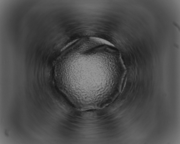 X0000093140230200710171336