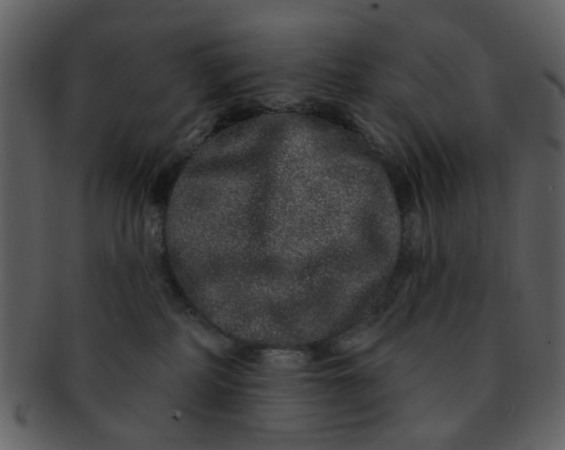 X0000093140234200710171336