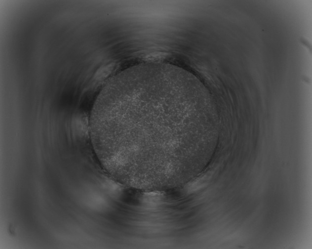 X0000093140240200710171335