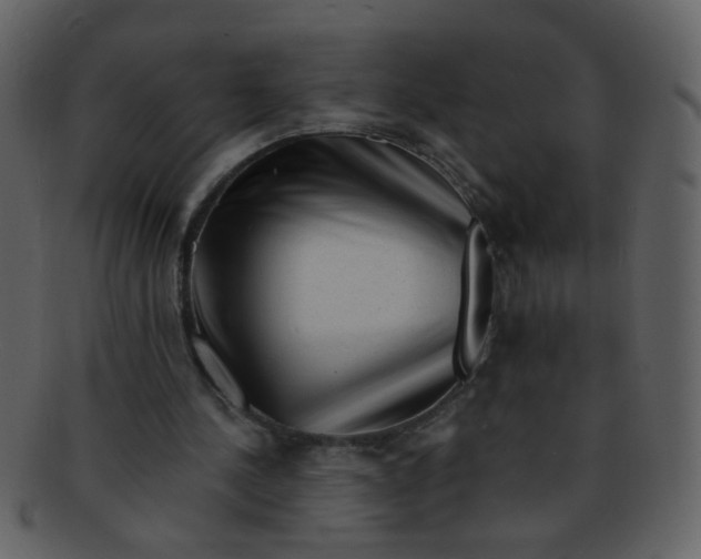 X0000093140244200710171335