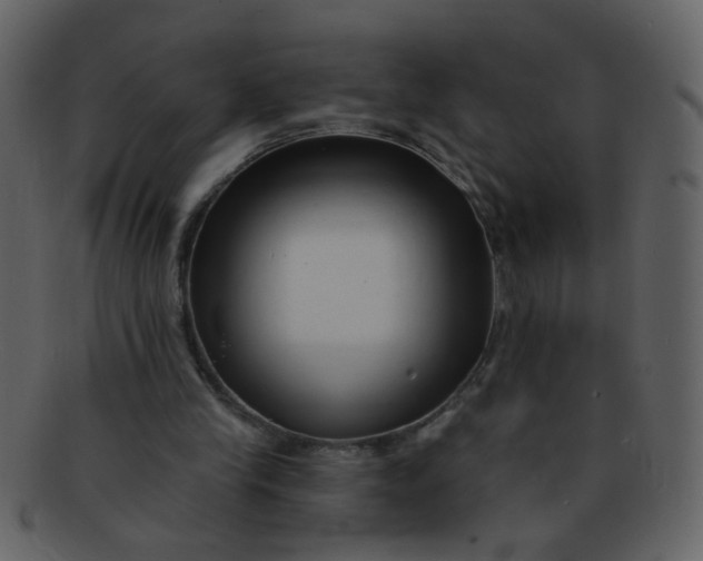 X0000093140245200710171335