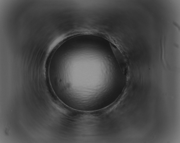 X0000093140246200710171335