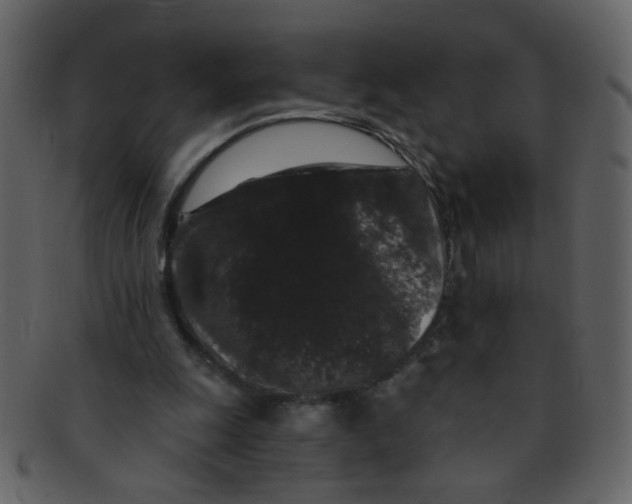 X0000093140247200710171335