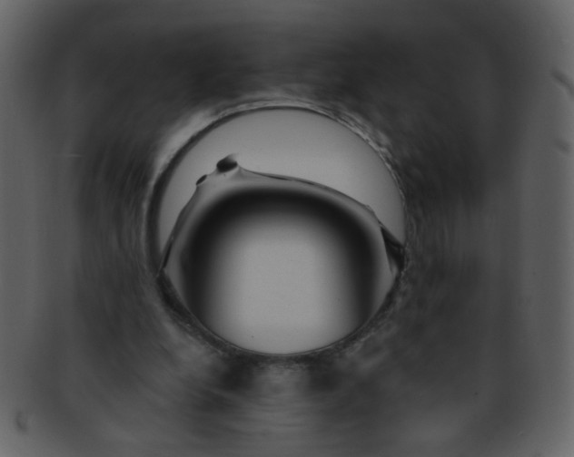 X0000093140248200710171335