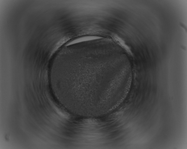 X0000093140250200710171335