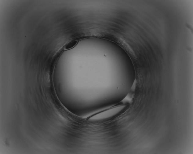 X0000093140251200710171335