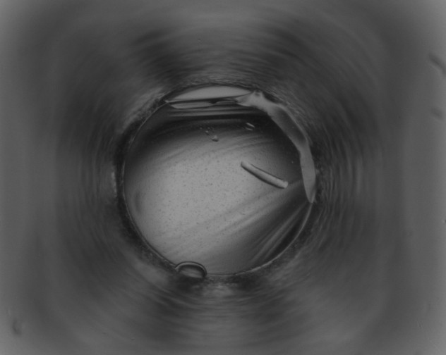 X0000093140254200710171335