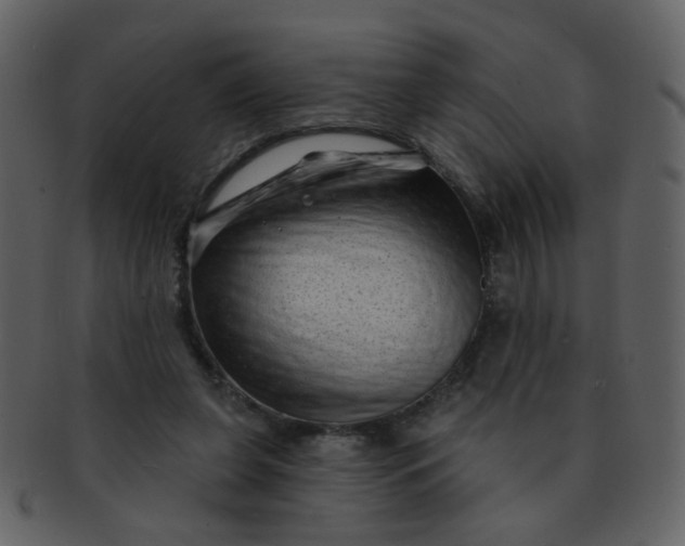 X0000093140255200710171335