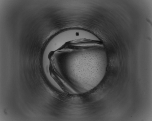 X0000093140256200710171335