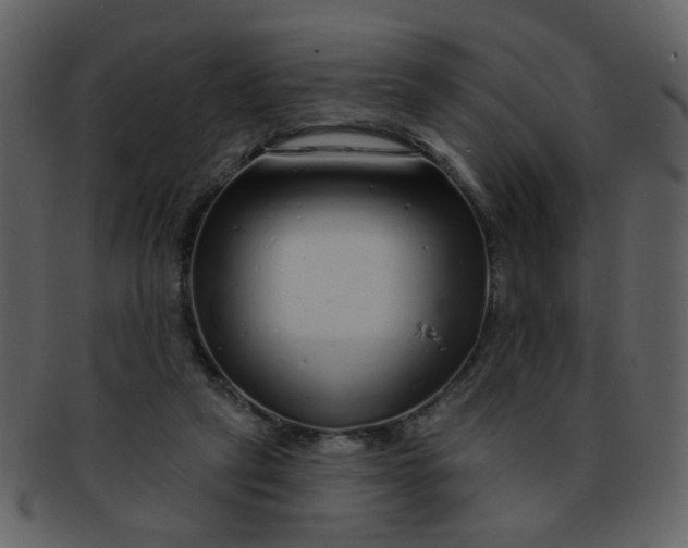 X0000093140257200710171335