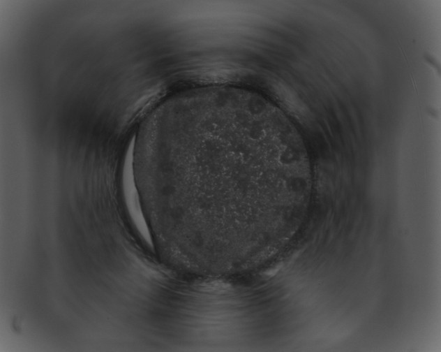 X0000093140258200710171335