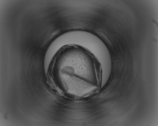 X0000093140260200710171335