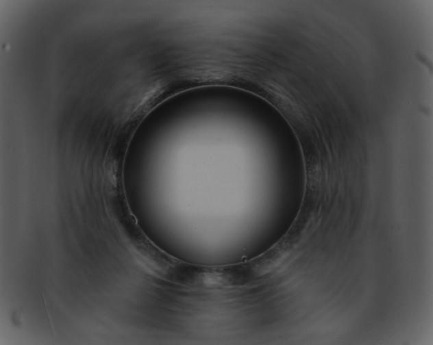 X0000093140264200710171335