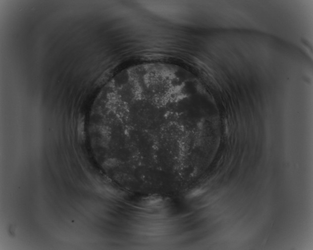 X0000093140267200710171335