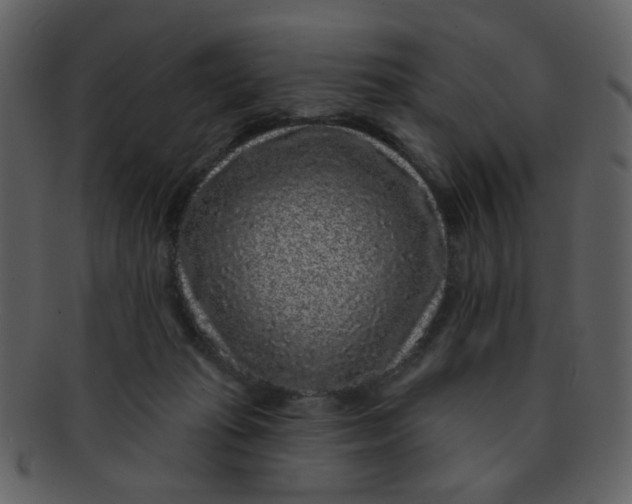 X0000093140269200710171335