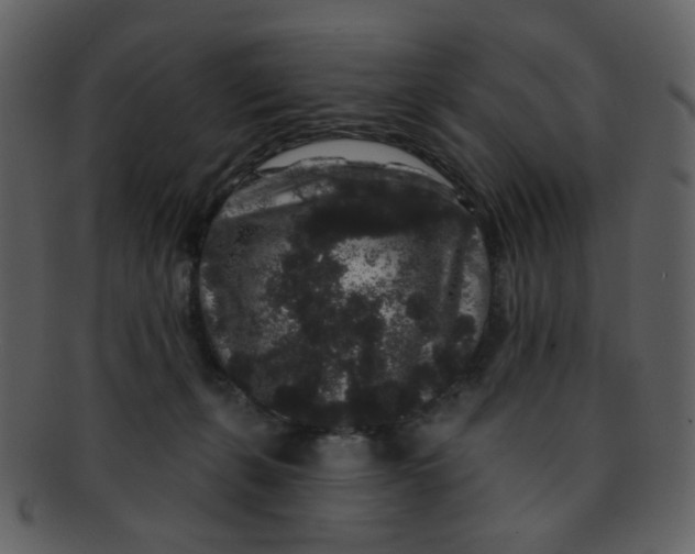 X0000093140271200710171335