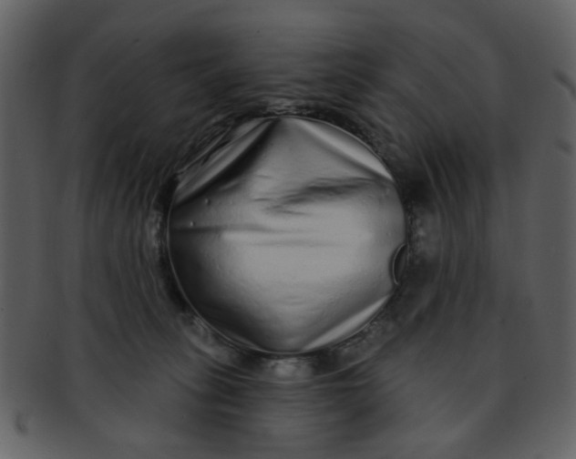 X0000093140275200710171335