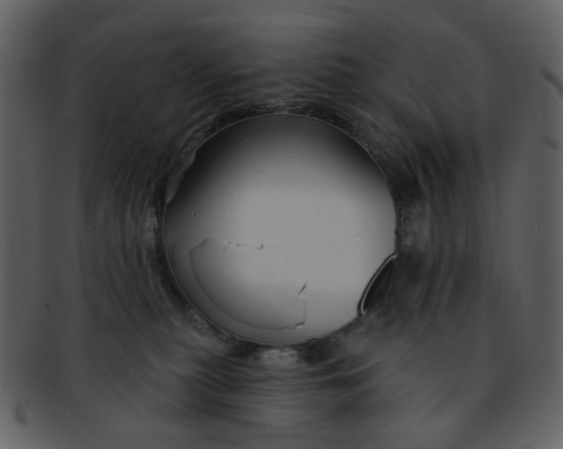 X0000093140279200710171335