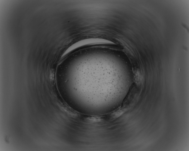 X0000093140284200710171335