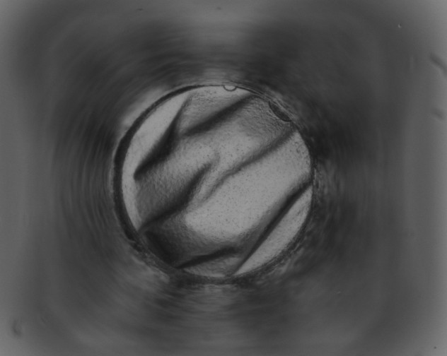 X0000093140292200710171335