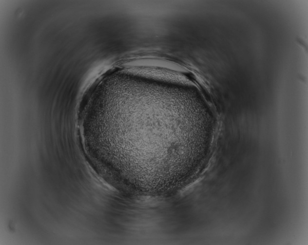 X0000093140293200710171335