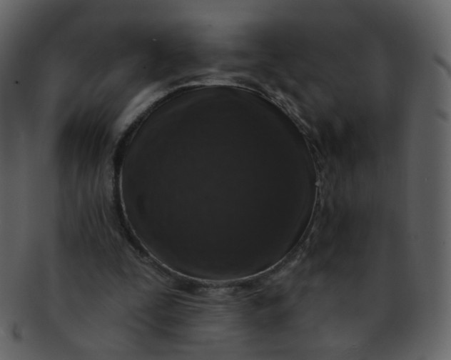 X0000093140295200710171335