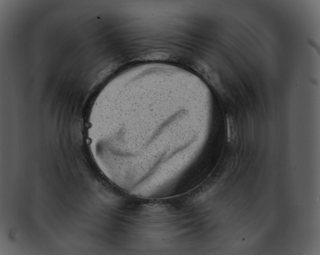 X0000093140300200710171335