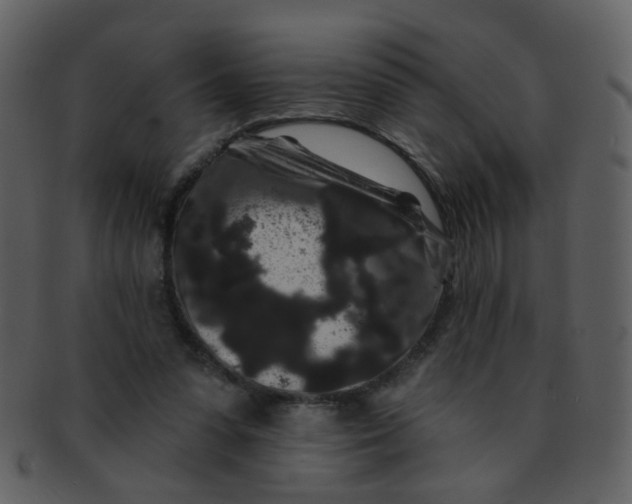 X0000093140303200710171335