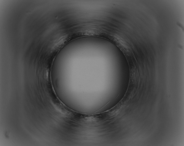 X0000093140310200710171335