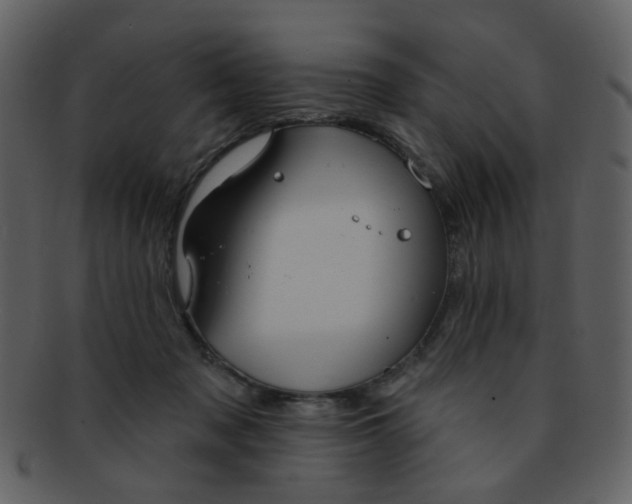 X0000093140317200710171334