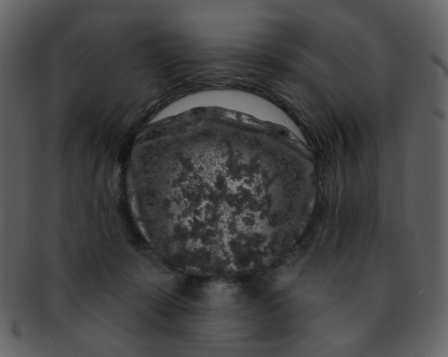 X0000093140319200710171334