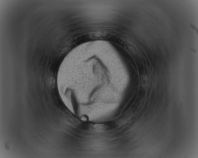 X0000093140324200710171334