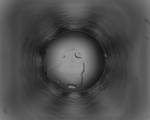 X0000093140327200710171334