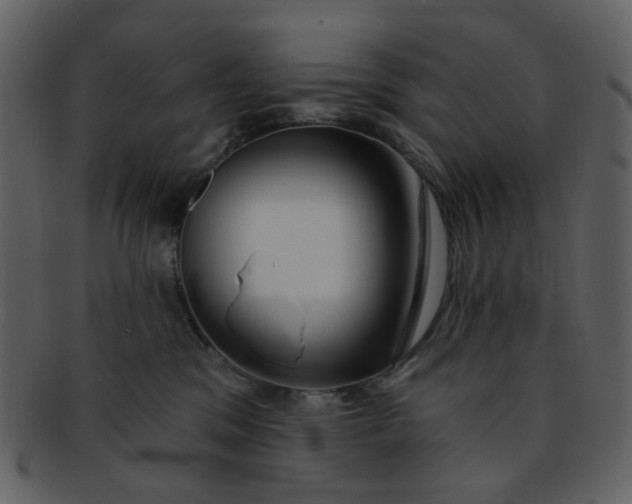 X0000093140329200710171334