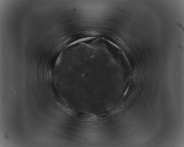 X0000093140330200710171334