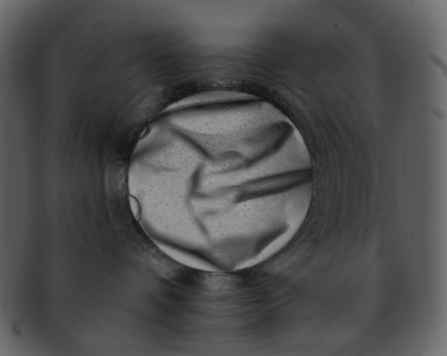 X0000093140336200710171334