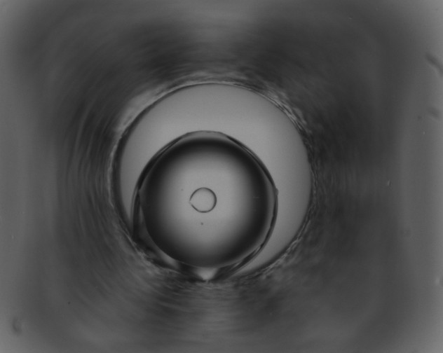 X0000093140340200710171334