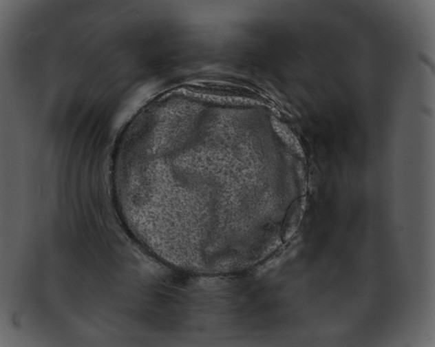 X0000093140341200710171334