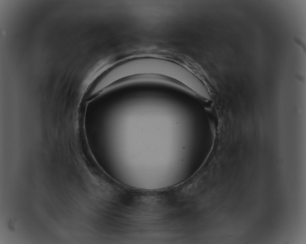 X0000093140344200710171334