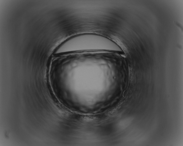 X0000093140346200710171334