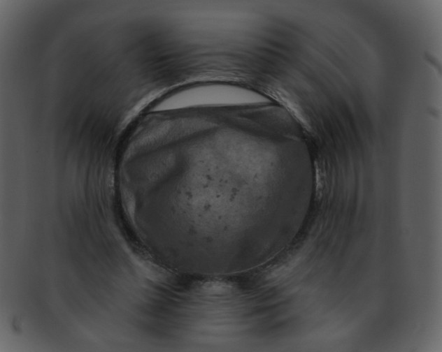 X0000093140348200710171334