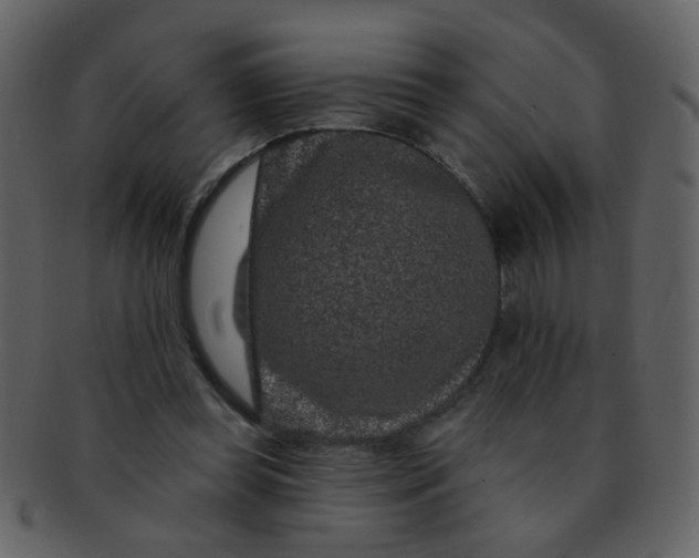 X0000093140349200710171334