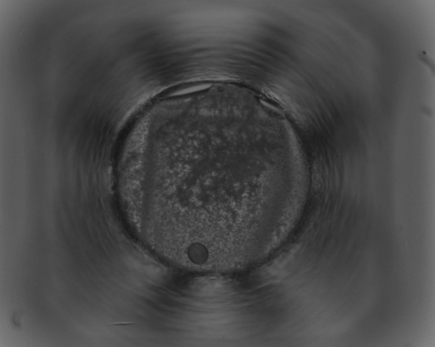 X0000093140351200710171334