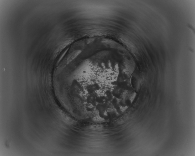 X0000093140353200710171334