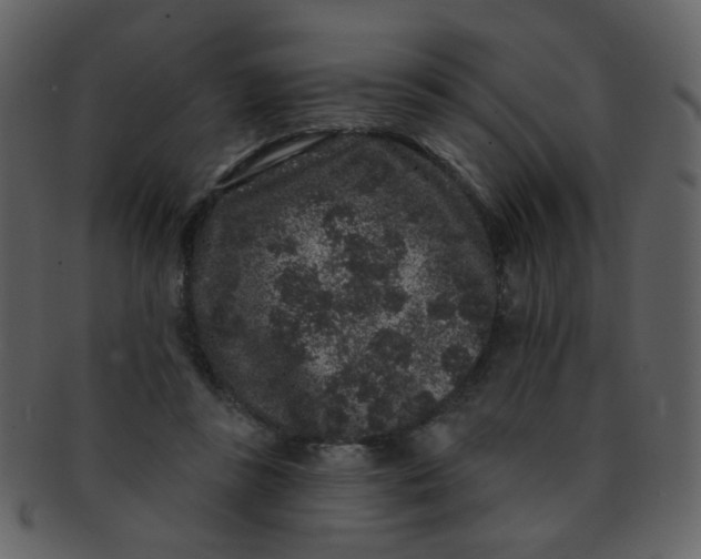 X0000093140355200710171334