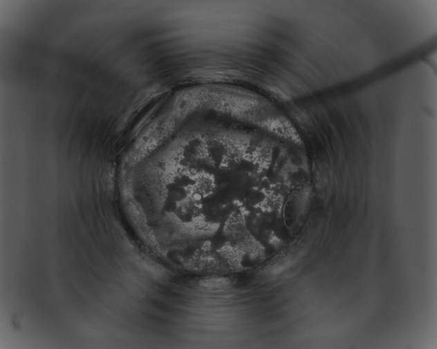 X0000093140357200710171334